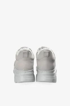 Cph60 Nabuc Teddy><noscript><img width=
