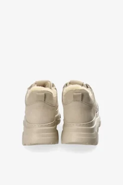 Cph60 Nabuc Teddy><noscript><img width=