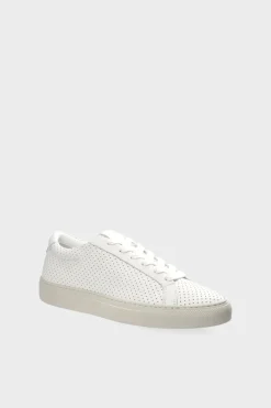 Cph2 Vitello><noscript><img width=