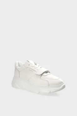 Cph41 Vitello><noscript><img width=