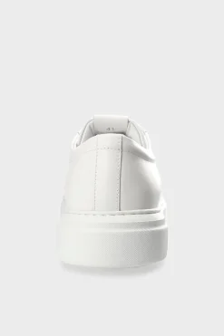 Cph307M Vitello><noscript><img width=