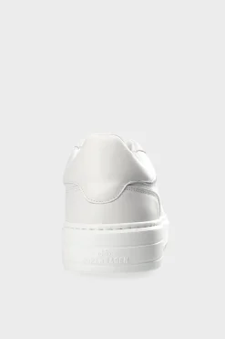 Cph72M Vitello><noscript><img width=
